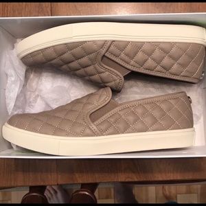 ECENTRCQ Grey Steve Madden Shoes